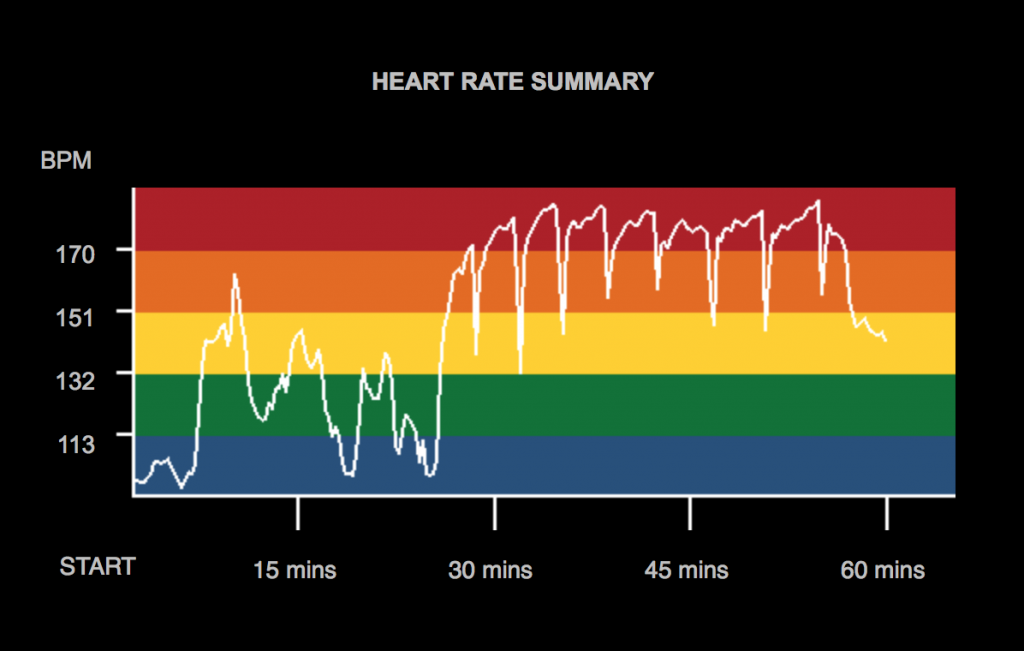 pulse rate